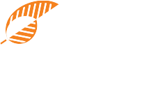 moodle-sinditabaco